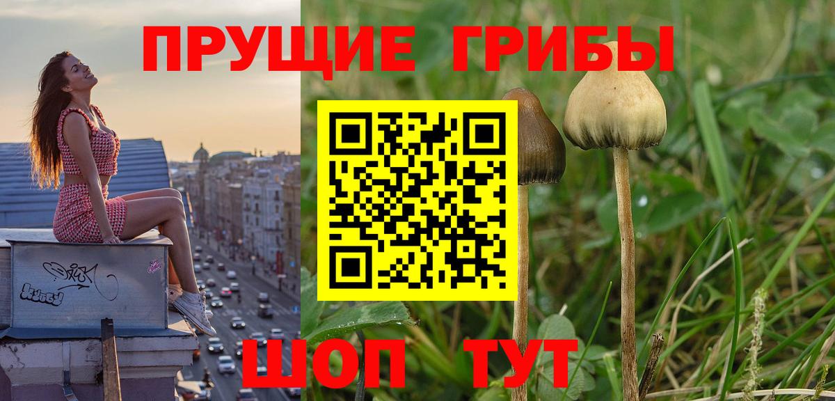 Псилоцибиновые грибы MAGIC MUSHROOMS Серов