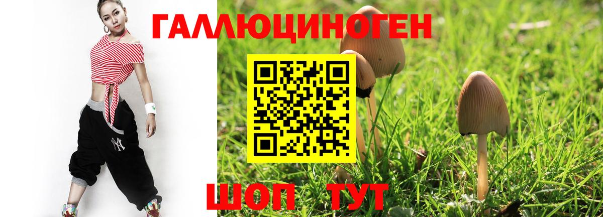 Галлюциногенные грибы Cubensis  Вход с VPN  Серов  Галлюциногенные грибы мицелий 